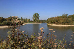 Plan d'eau des Orbidas