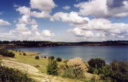 Lac d'Arjuzanx