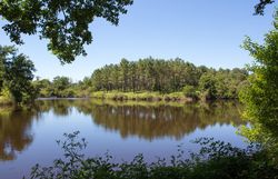 Lac de Parleboscq