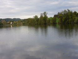 Etang du pin