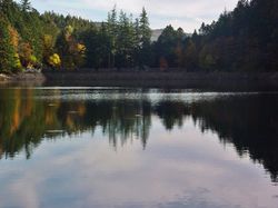 Le Lac de l'Altenweiher