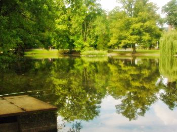 L'étang du Parc de la fecht