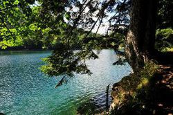 Le lac du Ballon.