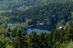 ETANG DU GRAND et PETIT NEUWEIHER