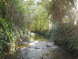 La Seulles